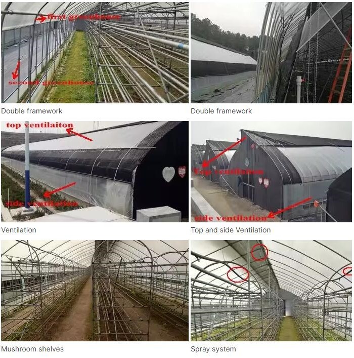 10m double framework mushroom greenhouse with black shade net and shelves outdoor