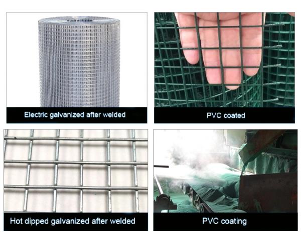 Galvanised welded wire mesh panel 2.44x1.22m per sheet 8ftx4ft 50mm/2inch square hole size