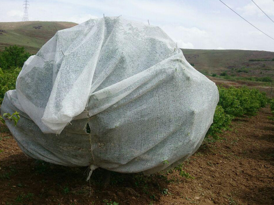 Customized Agricultural Nets Making Machine 200-600 Speed 220V