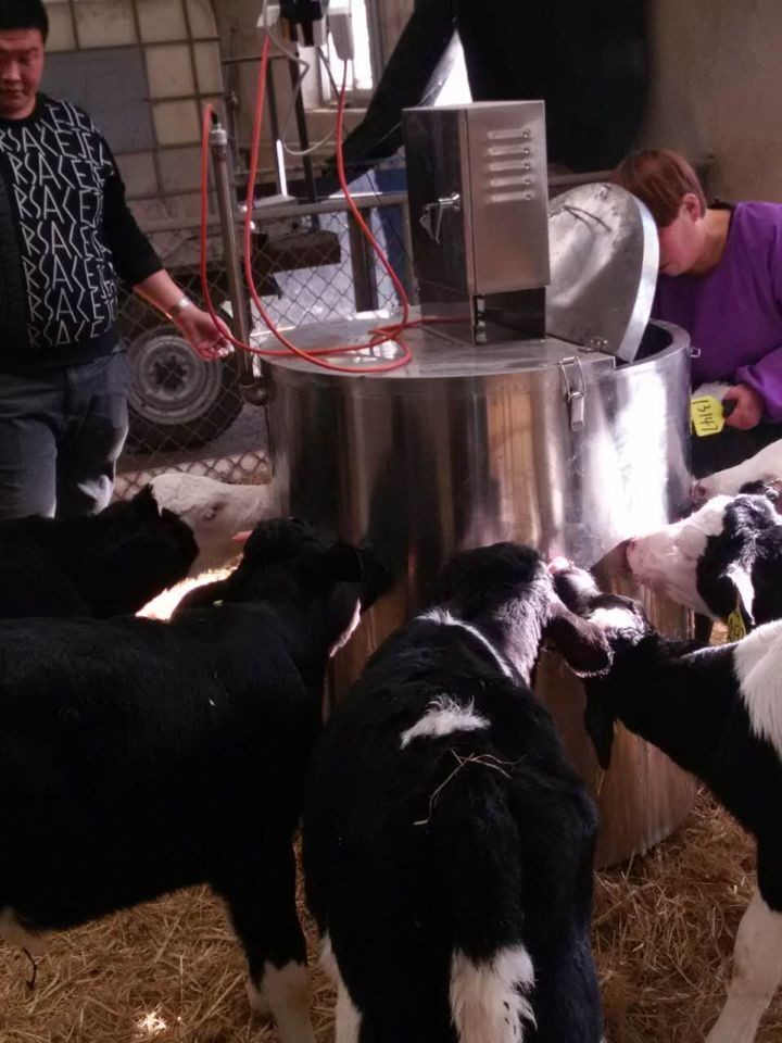 200L Electric Juvenile Bovine Milk Feeder with 15 Rubber Nipple Sucking