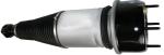 C2C41343 Air Suspension Parts Air Suspension Strut