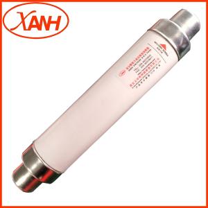 China OEM Current Limit Fuse Sdldj-12/3.15 For Indoor 3.15A-200A Power System Protection wholesale