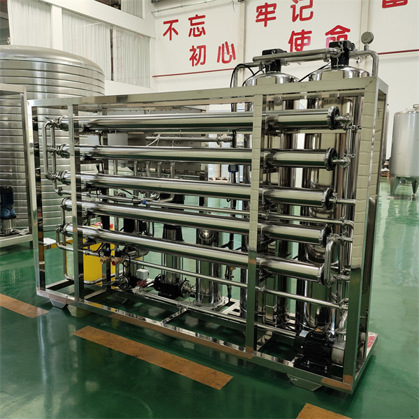 Commercial Use 1000LPH Purified Water Machine Double Satge Compact Structure