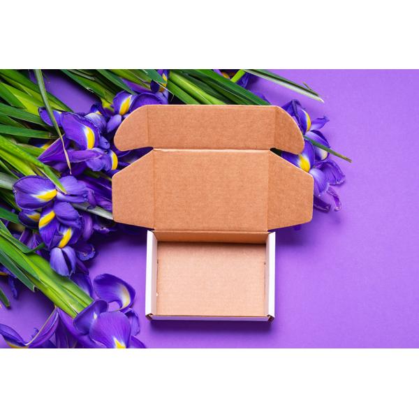 Recyclable Customized Shipping Box Ecommerce Mailer Box With Logo Print For Small Business