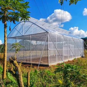 China Hot Galvanized Pipe Frame Plastic Grow Tunnel wholesale