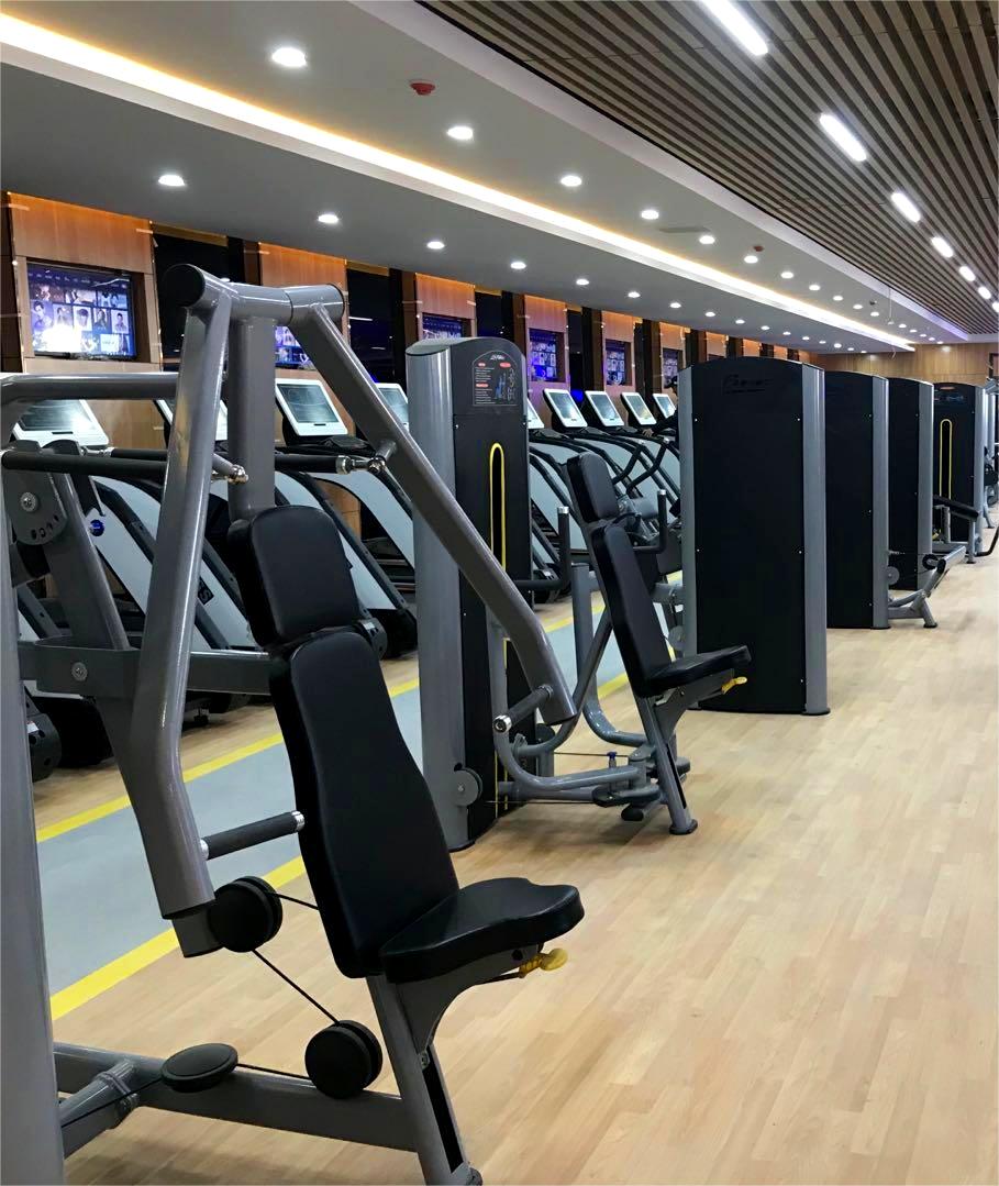 Workout Equipment Plate Loaded Selection Machines Glutes Quadriceps Kneeling Leg Curl