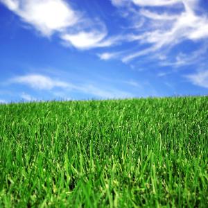 China 50mm Landscaping Synthetic Artificial Grass For Football Court wholesale