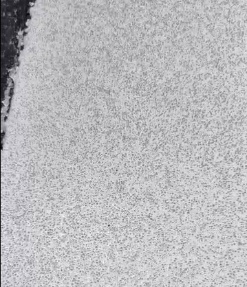 Antifouling Traffic Lane Thermoplastic Road Marking Paint