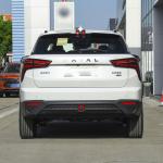 Compact SUV Gasoline Hybrid Cars Havelong 2023 1.5L 110km