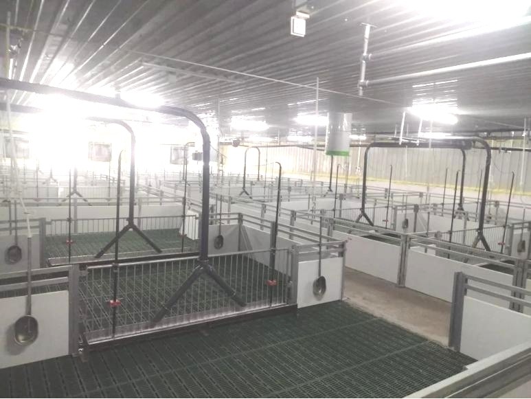 PVC Panel Pigs Nursery Crate Weaning Pens With Plastic Slatted Floor