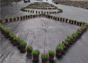 China 100gsm Black Weed Control Ground Cover PP Woven Fabric PP Woven Ground Cover wholesale