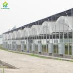 Commercial Industrial Plastic Film Agricultural Multi-span Poly Tunnel