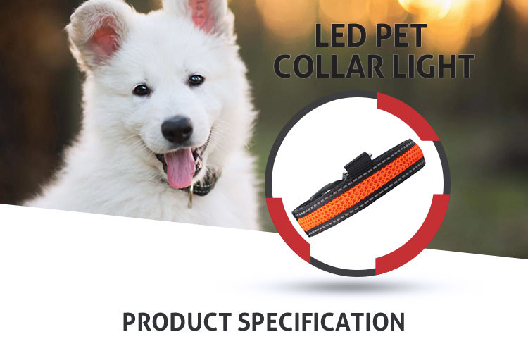LED Light Waterproof Dog Band Pet Collar Flashing Light Band Safety Leashes Belt