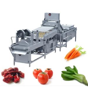 China 10.75kw 300kg/h Vegetables Washing Drying Machine wholesale