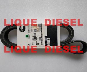 China TEREX CUMMINS 3290142 , 3290142X BELT NHL RIGID DUMP TRUCK TR35 TR50 TR60 TR100 3305B 3305F 3303 3307 TR45 TR70 MT4400 wholesale