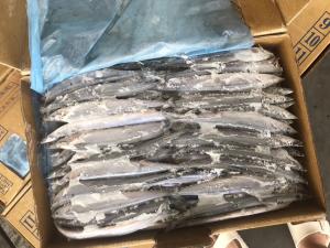 China BRC Certified 3# BQF Sea Frozen Pacific Saury Fish wholesale