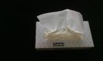 Eco-friendly virgin wood 13~14gsm Box Facial Tissue Paper , 2ply * 100 sheets