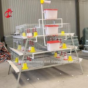 China A Type Broiler Battery Cage Galvanized High Strength Poultry Broiler Cage Iris wholesale