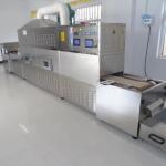 1000mm Belt Continuous Tunnel Dryer Microwave Sterilizer Industrial Drying
