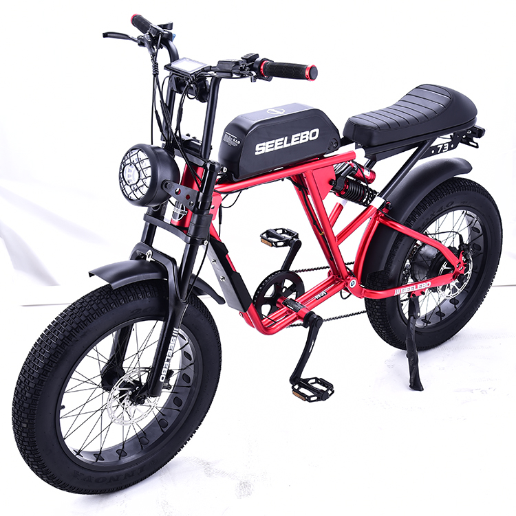 Electric Bicycle GOMID 750W 48V 20 Inch E Bike Mountain Fat Tire Ebike With High Power Motor