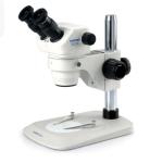 Binocular microscope