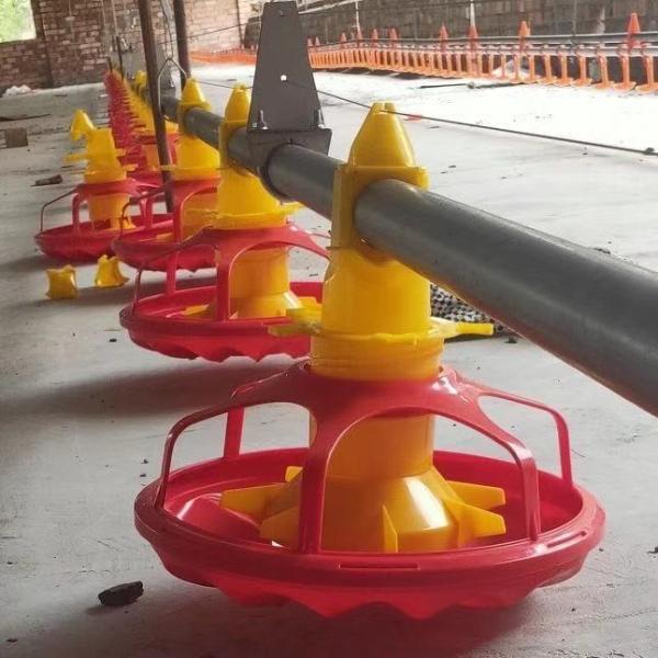 Poultry Farming Automatic Pan Feeding Nipple Cup Drinking System for Broiler Breeder Chicken House
