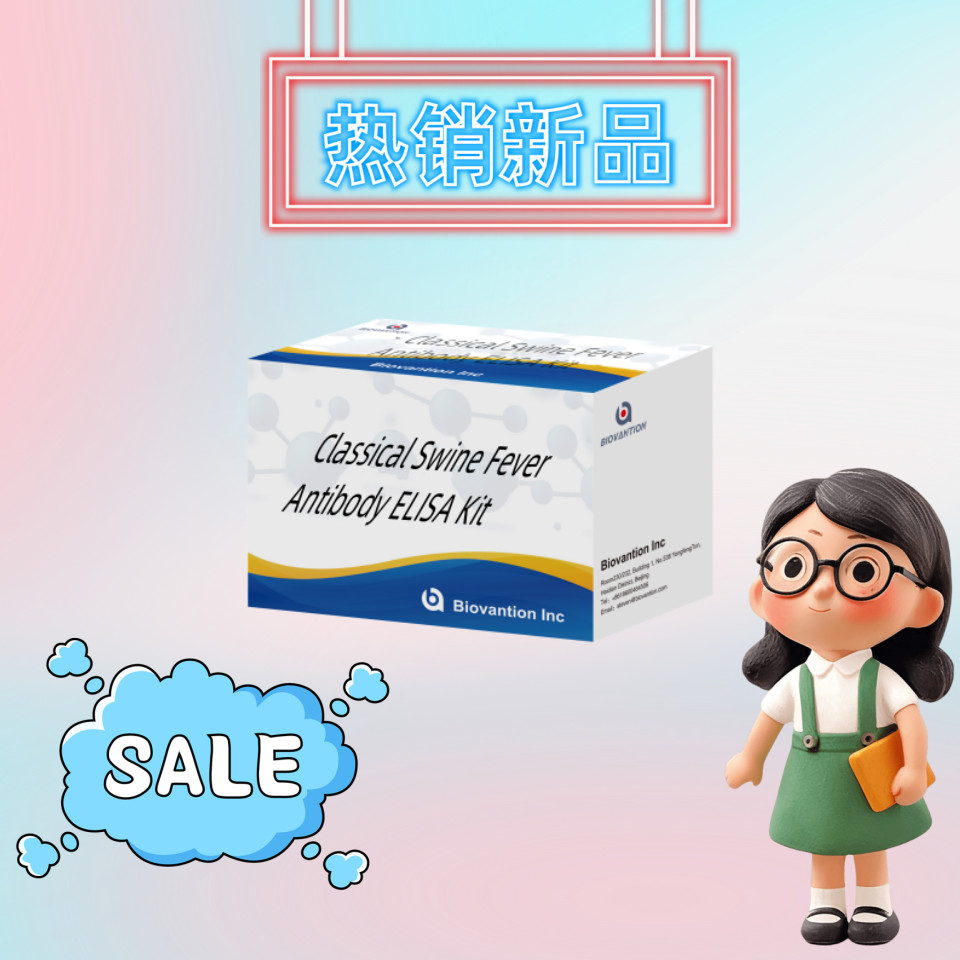 Detection Kit For CSFV Classical Swine Fever Antibody For Animal Detect Reagent 192T
