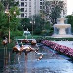China Stainless Steel Sculpture Flamingo Bronze customized Landscape Design for sale