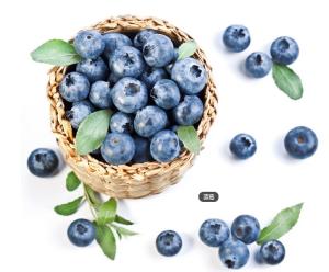 China 2015 TOP hot selling Bilberry Extract wholesale