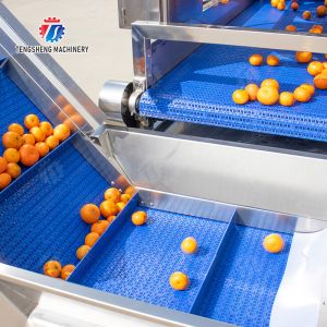 vegetable drying equipment Fruit and vegetable selection washing and drying