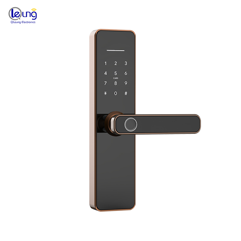 Smart Home Door Lock S811 September Promotion with Wifi APP Control and Fingerprint Key Password Card