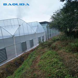 China Reinforced Plastic Sheeting Greenhouse For Tropical Climate Prefabricated wholesale