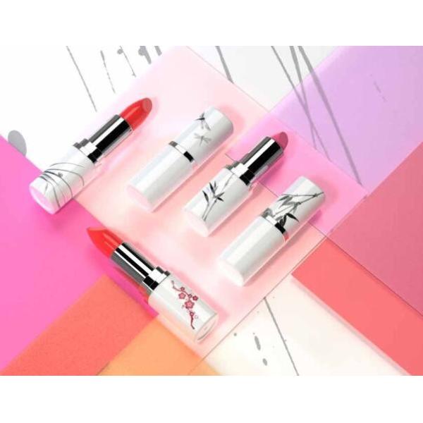 PETG Plastic Eco Cosmetic Packaging 1.4mm Diameter Empty Lipstick Tubes