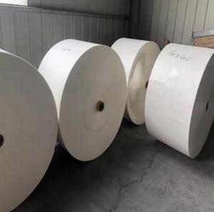 China OEM 190gsm 260gsm PE Coated Cup Stock Paper In Roll Sheet wholesale