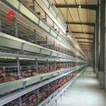 Modular Poultry Cage System For Layer Farms Hot Dip Galvanized Battery Cage