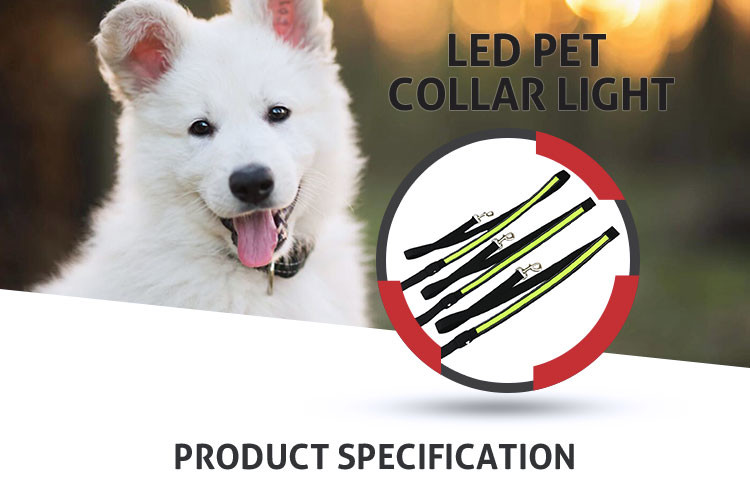 Nature Nylon Reflective Night Safety LED Dog Leash For Cats CE / ROHS