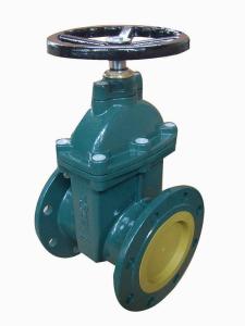 China (BS) Cast Iron Gate Valve nor-rising stem wholesale