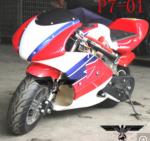P7-01 49cc Hot Sale Pocket Motorcycle Dirt Bike