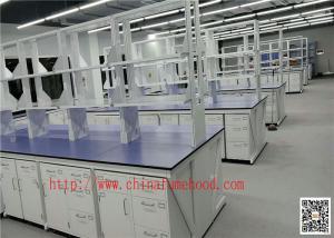 China Chemical Lab Cabinetr / Clean Room Lab Table Price / Steel Benches Manufacturer wholesale