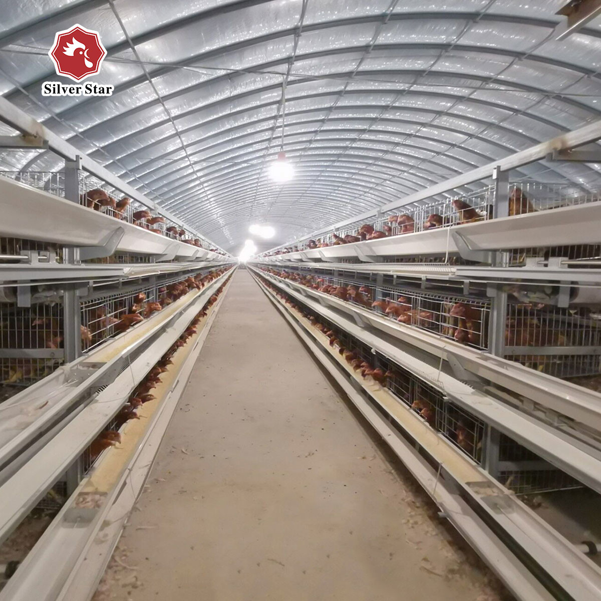 Newest Design Of H Type Layer Chicken Poultry Cage