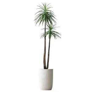China Handmade 150cm Artificial Dracaena Frost Resistance Anti - Aging wholesale