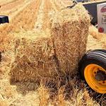 Agricultural square hay Baler FK5070