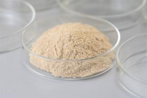 China Tanning Protease Industrial Enzymes Soluble Protein Loosening Collagen Fiber wholesale