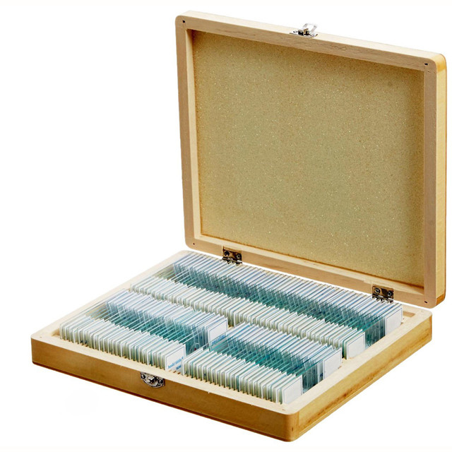 100pcs/set Prepared Microscope Slides Specimens Slides Set with Wooden Case