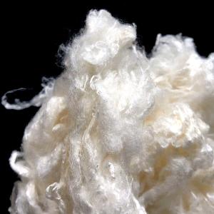 China UV Proof Viscose Staple Fiber , 100% Natural Bamboo Fiber 2Dx51mm wholesale
