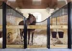 All Colors European Horse Stalls , Stall Front Kits Horse Farm Equipment