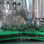 CIP Controlled Beer Bottle Filler