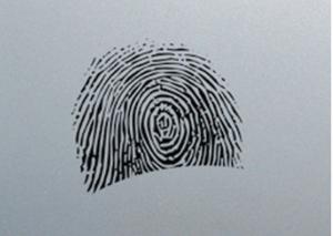 China Anti Fingerprint Cold Rolled Stainless Steel Sheet 0.2mm - 3.0mm Thickness wholesale