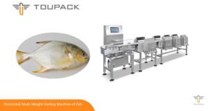 China 500g Weight Sorting Machine wholesale