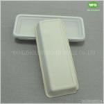 Disposable Natural Sugarcane Pulp Condiment Dispenser-Factory Price Eco-Friendly